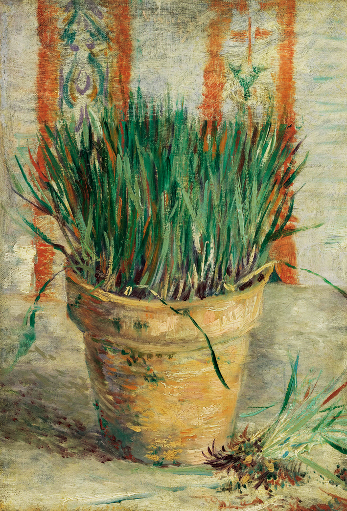  文森特·威廉·梵高  Vincent Willen Van Gogh —— 花盆里的香葱
